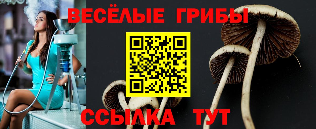 Псилоцибиновые грибы мицелий  Вход с VPN  Сибай 